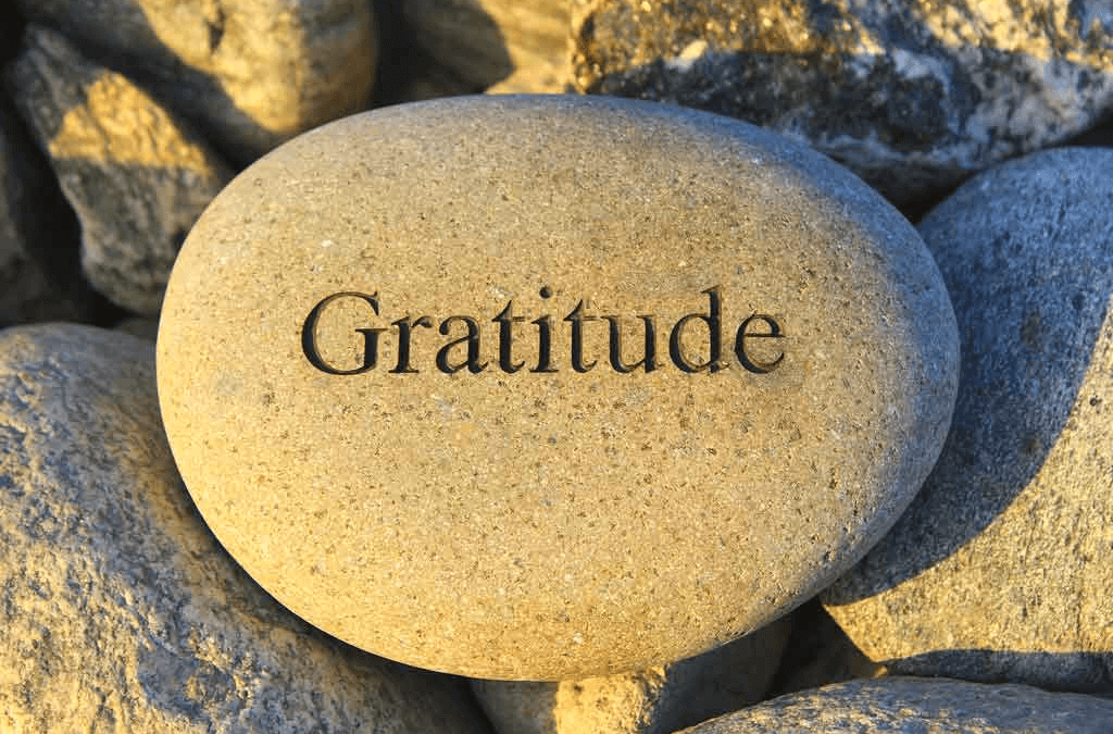 Gratitude makes a difference – Weekly news for Friday 19 July