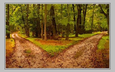 Weekly News for Friday 29 April 2022