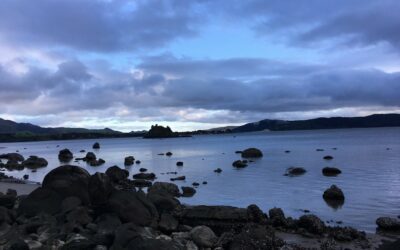 Weekly E-news – 28 April 2023