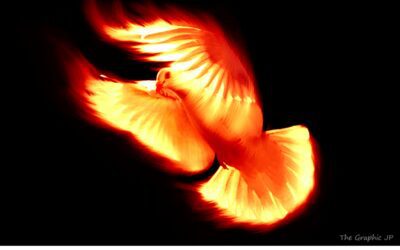 Weekly E-news – 26 May 2023