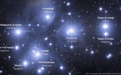 Weekly E-news – 14 July 2023