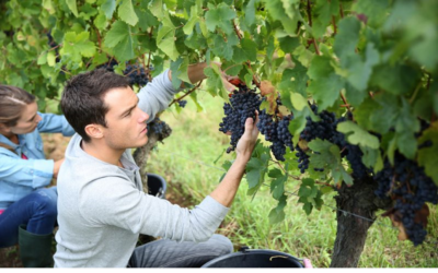 Weekly E-news – 22 September 2023