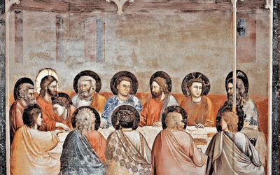 Weekly E-news – 29 September 2023