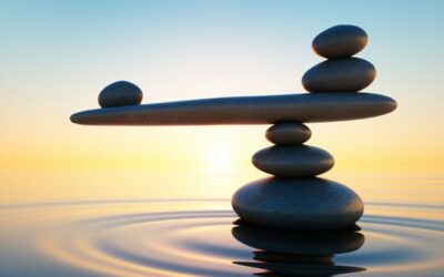 Weekly E-news – 20 October 2023