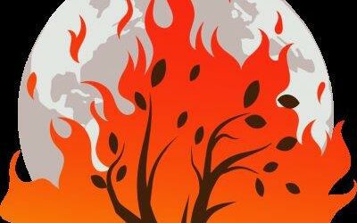 Weekly E-news for 29 December 2023