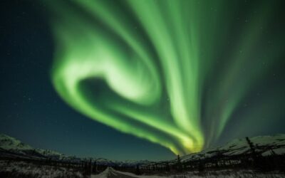 Weekly E-news for 5 January 2024