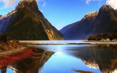 Weekly E-news for 19 January 2024