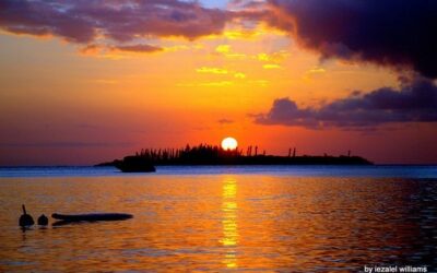 Weekly E-news for 26 January 2024