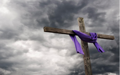 Weekly E-news for 23 February 2024