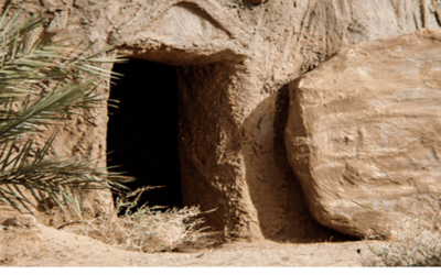 Weekly E-news for 29 March 2024