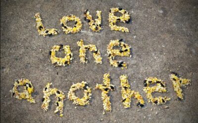 Weekly E-news for 3 May 2024