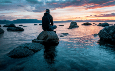 Weekly E-news for 31 May 2024