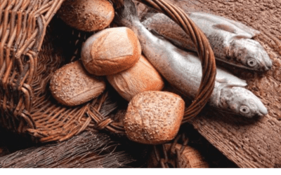 Weekly E-news for 26 July 2024